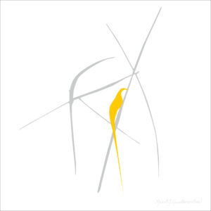 Fuglebilder - nr15