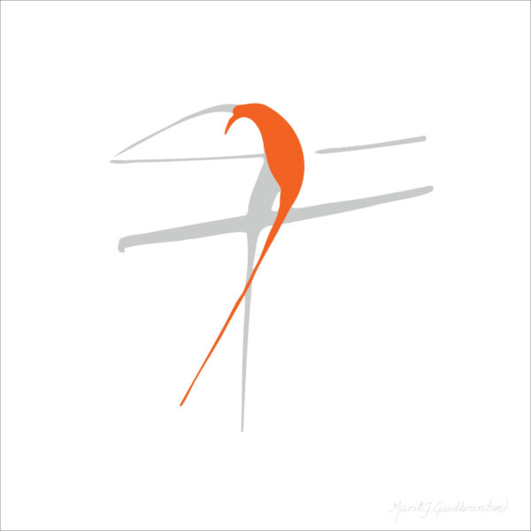 Fuglebilder - nr16